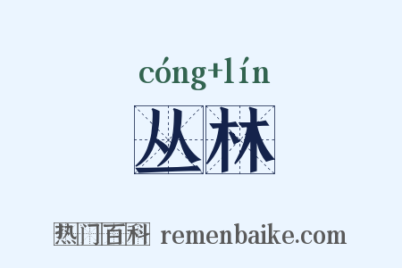 丛林是什么意思的图片